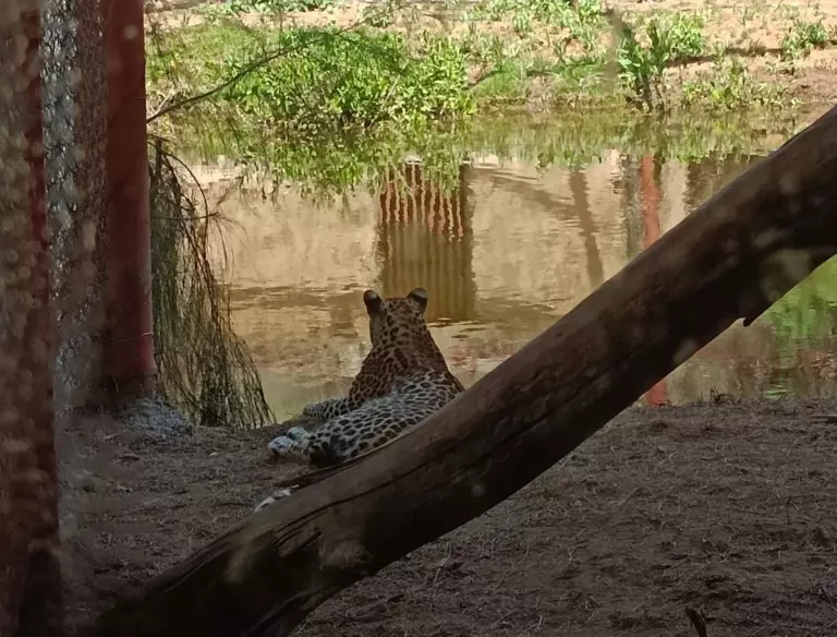 Afrika safari park (1)