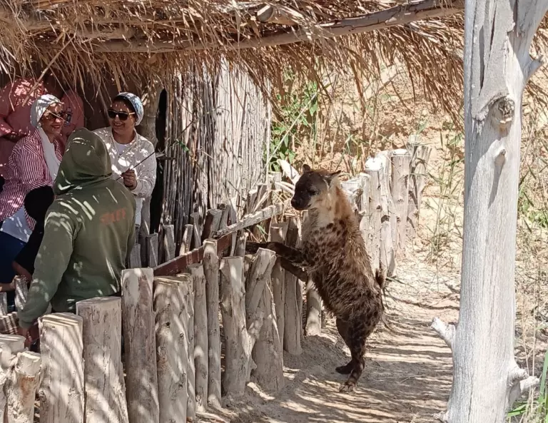 Afrika safari park (2)
