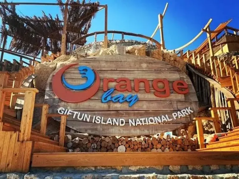 Orange bay 11