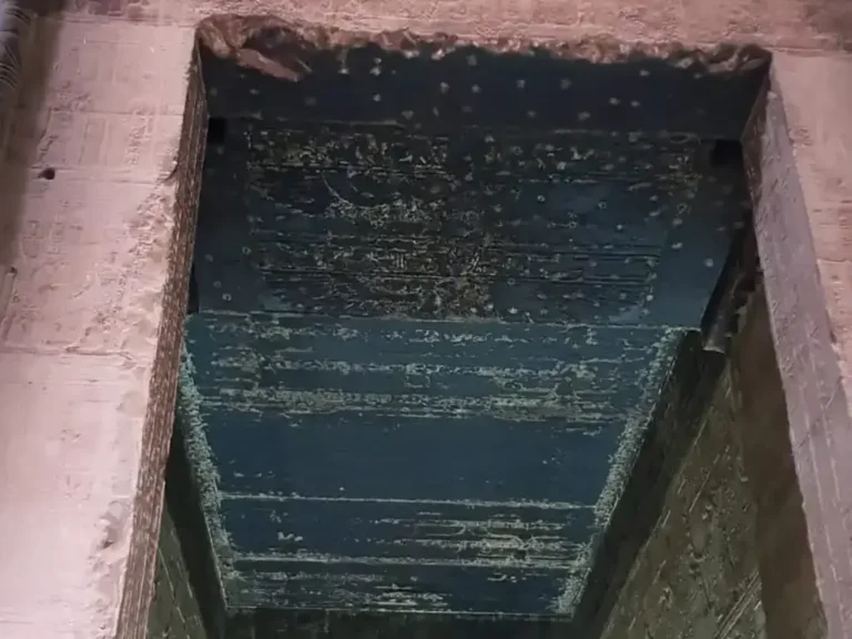 Дендера 5